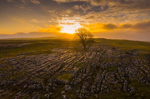 A lone tree is lit by a sunrise on a limestone pavement near Malham Malham, England, United Kingdom CR_JUHO200618-408731-01