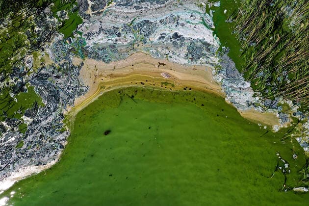 Bilder des Jahres 2020, News 06 Juni News Themen der Woche KW26 News Bilder des Tages An aerial view of toxic blue-gren algae bloom on the Baltic Sea coast at Tyreso near Stockholm, Sweden, on June 25, 2020. STOCKHOLM SWEDEN x10050x  Copyright: xPontusxLundahl TTx SWEDEN ALGAE BLOOM