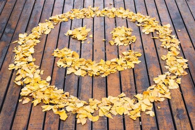 Ginkgo leaf smiling face  363141039721545728