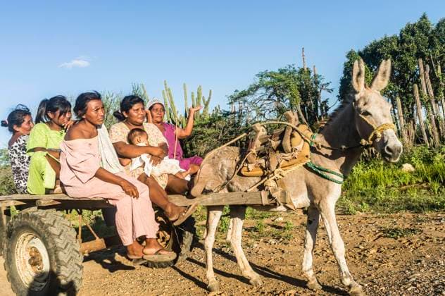 IMAGO Cultures of the world, Wayuu Volk in Kolumbien Group of Wayuu indigenous women traveling on a mule cart outside a rancheria , or traditional rural settlement, in La Guajira, Colombia. Uribia Colombia Copyright: xJasonxRothex JRO_COL-8761
