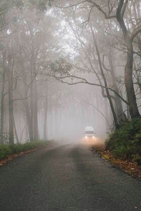 Campervan driving through lush forest on a misty day at the Grampians National Park, Victoria, Australia. Zumsteins, VIC, Australia CR_JALO200629-430725-01