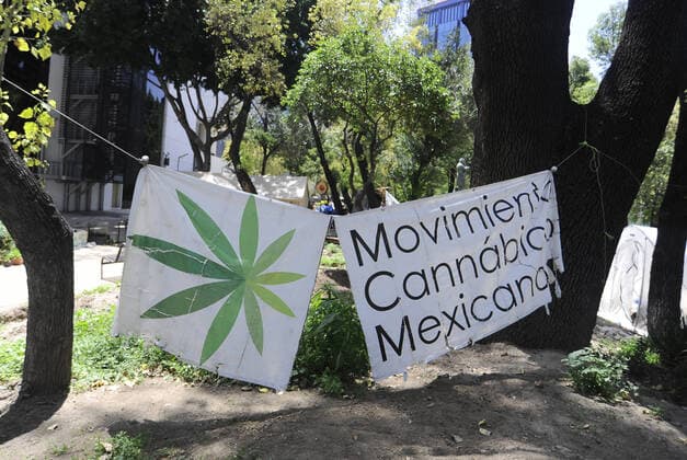 Activists set up camp outside the Mexico s Senate building to protest for the legalisation of marijuana Where: Mexico City, Mexico When: 17 Jul 2020 Credit: Eyepix Cover Images **EDITORIAL USE ONLY** Copyright: xRicardoxCastelanxCruzx 40725062 EDITORIAL USE ONLY. NOT FOR USE BY NEWSPAPERS BASED IN THE UK.