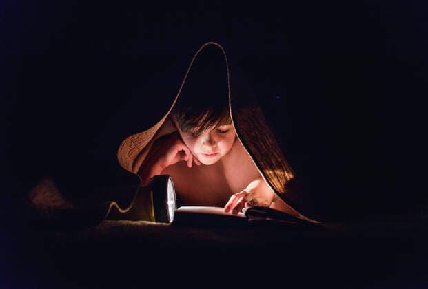 Young boy reading a book under a blanket using a flashlight. Kingston, ON, Canada CR_DOHO200717O-443780-01 ,model released, Symbolfoto