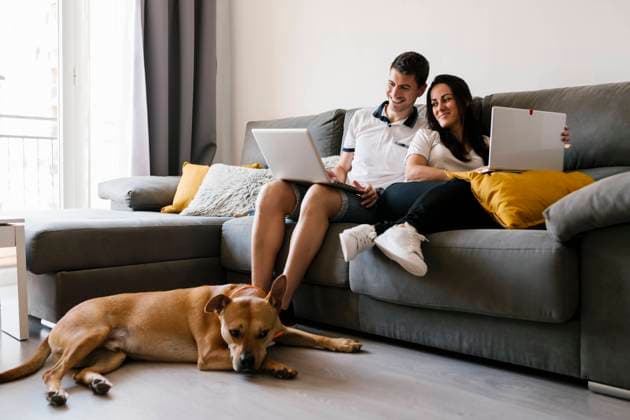 Couple using laptops on sofa near dog at home model released Symbolfoto property released EGAF00439
