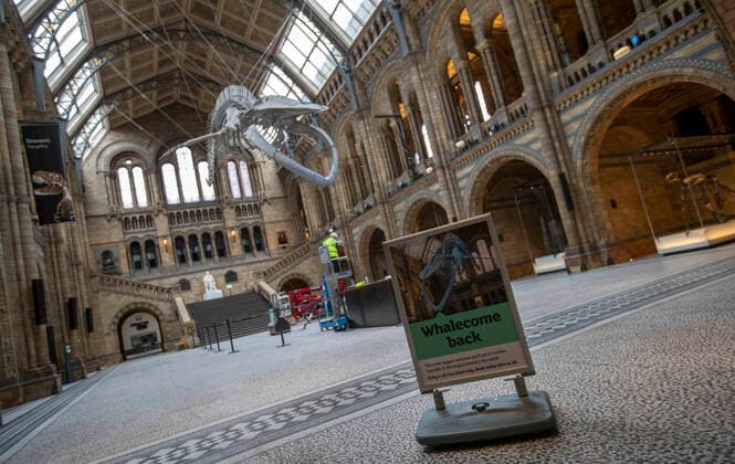 (200728) -- LONDON, July 28, 2020 -- A sign is placed in front of the blue whale skeleton at Hintze Hall of Natural History Museum before its reopening in London, Britain, on July 27, 2020. The Natural History Museum will reopen from August 5. ) BRITAIN-LONDON-NATURAL HISTORY MUSEUM-REOPENING-PREPARATION HanxYan 