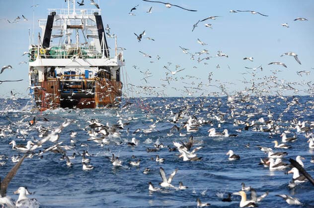 IMAGO Creative, Unsere Erde, Umweltverträgliche Herausforderungen des 21. Jahrhunderts, Überfischung Fischerboot und grosser Schwarm von Seevoegeln im Atlantik vor der Kueste Suedafrikas. Viele Sturmvoegel und Albatrosse im Flug oder auf der Wasseroberflaeche schwimmend, Suedafrika Trawler and huge flock of seabirds of the South African coast in the Atlantic Ocean. Many petrels, shearwaters and albatrosses flying around and swimming on the surface., South Africa BLWS624465 *** Fishing boat and large flock of seabirds in the Atlantic Ocean off the coast of South Africa Many petrels, shearwaters and albatrosses flying around and swimming on the surface, South Africa BLWS624465 Copyright: xblickwinkel AGAMI D.xLopezxVelascox
