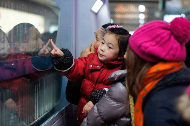 IMAGO Creative: Countdown bis Weihnachten, Nach Hause reisen A child points to merchandise in a window  525274182534299662