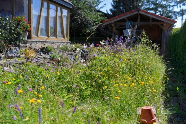 03.08.2020, Blick in einen Garten eines Hauses in Mindelheim (Unterallgäu), 03.08.2020, Gärten Mindelheim 03.08.2020, Gärten Mindelheim *** 03 08 2020, View into a garden of a house in Mindelheim Unterallgäu , 03 08 2020, Gardens Mindelheim 03 08 2020, Gardens Mindelheim