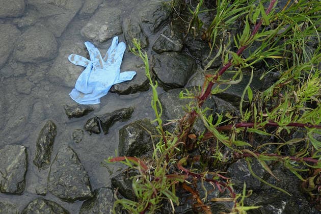 Environmental pollution Environmental pollution, 03 08 2020, Greifswald, Greifswalder Bodden, Mecklenburg Vorpommern, In the water a discarded protective glove floats