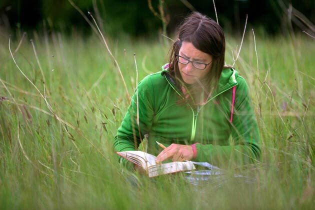 IMAGO Creative: Klimawandel - Zukunft und Innovation Botanikerin bestimmt in der Natur eine Pflanze, Belgien female botanist exploring nature, determinating a plant, Belgium BLWS625441 *** Botanist determining a plant in nature, Belgium female botanist exploring nature, determining a plant, Belgium BLWS625441 Copyright: xblickwinkel W.xPattynx