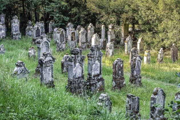 Tag des Friedhofs am 19. September Grabsteine auf dem Juedischen Friedhof im Sulztachtal bei Sulzburg. Die Anlage des Friedhofs ist bis ins 16. Jahrhundert dokumentiert, die aeltesten erhaltenen Graeberdatieren auf das Jahr 1730. Im November1938 wurde der Friedhof geschaendet, 1940 die letzten juedischen Einwohner Salzburgs in das Internierungslager Gurs in Suedfrankreich deportiert. *** Gravestones at the Jewish cemetery in the Sulztachtal valley near Sulzburg The layout of the cemetery is documented up to the 16th century, the oldest preserved grave dates to 1730 In November 1938 the cemetery was desecrated, in 1940 the last Jewish inhabitants of Salzburg were deported to the internment camp Gurs in Southern France