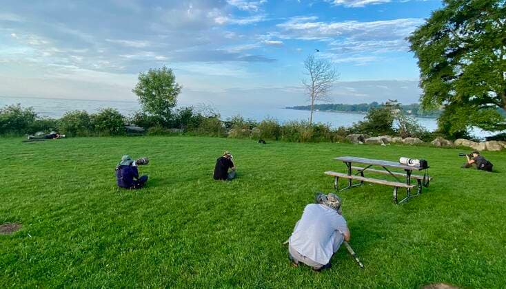 August 11, 2020, Toronto, Ontario, Canada: Wildlife photographers socially distance from each other while capturing a rare wild melanistic fox in Humber Park, Toronto - The animal, more commonly known as a silver fox, has a genetic disorder of the common North American red fox - and is attracting the attention of wildlife enthusiasts. Toronto Canada - ZUMAs109 20200811_zaf_s109_051 Copyright: xChristopherxDrostx