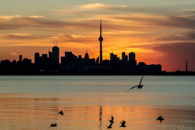 August 13, 2020, Toronto, Ontario, Canada: Birds and the downtown core of Toronto Ontario Canada in early morning light Toronto Canada - ZUMAs109 20200813_zaf_s109_001 Copyright: xChristopherxDrostx