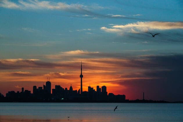 August 13, 2020, Toronto, Ontario, Canada: Birds and the downtown core of Toronto Ontario Canada in early morning light Toronto Canada - ZUMAs109 20200813_zaf_s109_004 Copyright: xChristopherxDrostx