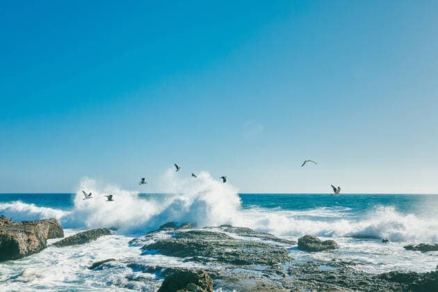 Seagulls flying over breaking waves in Baja, Mexico. Baja California, Chis., Mexico CR_JUSLKY200806-466774-01