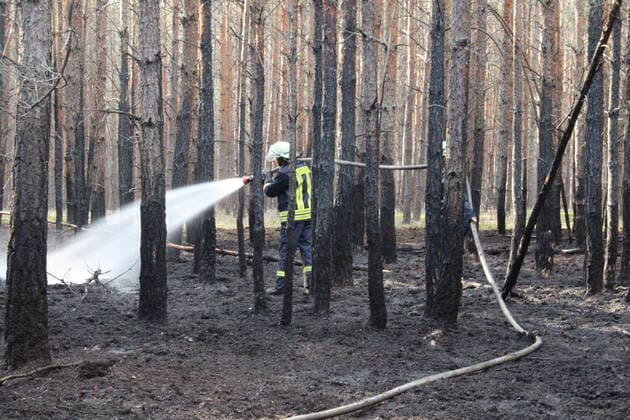 Simmersdorf fire brigade moves out to forest fire 17 08 2020, 15 41 Uhr K7109 Simmersdorf Jethe Photographer LausitzNews de Toni Aderhold On Monday afternoon the fi Copyright: xLausitzNews.de xTonixAderholdx