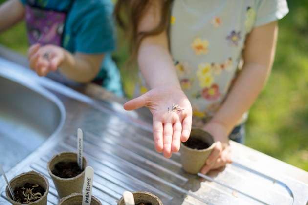 Girl s hand holding seeds while gardening with sister at table in garden model released Symbolfoto BRF01473