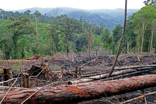 illegal abgeholzter Wald auf Gunung Kemiri, Indonesien, Sumatra Cleared forests on Gunung Kemiri, illegal logging, Indonesia, Sumatra BLWS626747 *** illegally logged forest on Gunung Kemiri, Indonesia, Sumatra Cleared forests on Gunung Kemiri, illegal logging, Indonesia, Sumatra BLWS626747 Copyright: xblickwinkel AGAMI P.xMorrisx