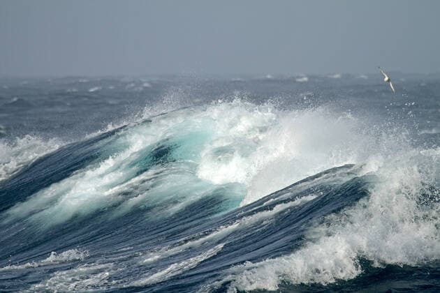 raue See noerdlich der Antarktis mit fliegendem Seevogel, Antarktis Huge ocean wave north of Antarctica. With seabird flying above the wave., Antarctica BLWS626713 *** rough sea north of Antarctica with seabird flying above the wave , Antarctica Huge ocean wave north of Antarctica With seabird flying above the wave , Antarctica BLWS626713 Copyright: xblickwinkel AGAMI P.xMorrisx