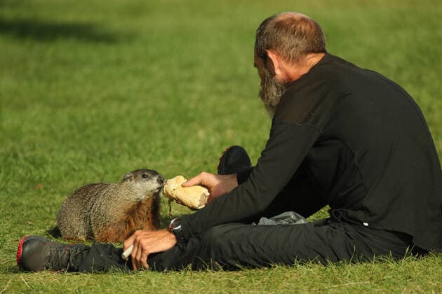 August 28, 2020, Toronto, Ontario, Canada: A homeless man named Steve shares his breakfast - a roast beef sandwich - with a large woodchuck (marmota monax) at humber bay park in west Toronto. Toronto Canada - ZUMAs109 20200828_zaf_s109_021 Copyright: xChristopherxDrostx
