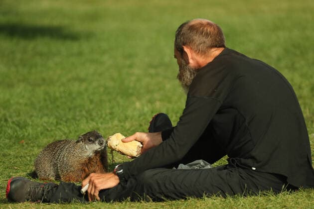 August 28, 2020, Toronto, Ontario, Canada: A homeless man named Steve shares his breakfast - a roast beef sandwich - with a large woodchuck (marmota monax) at humber bay park in west Toronto. Toronto Canada - ZUMAs109 20200828_zaf_s109_029 Copyright: xChristopherxDrostx