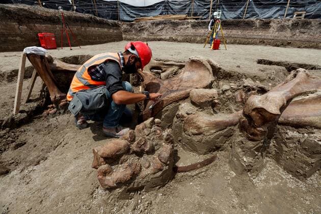 Specialists from the National Institute of Anthropology and History (INAH) work at the site where a significant number of Mamut remains were found, in the area where the Felipe Angeles Airport is being built, in the municipality of Zumpango, in the State of Mexico, Mexico, 27 August 2020 (issued 29 august 2020). The almost 200 discovery points where dozens of mammoth, camel, horse and bison skeletons have been found in the future airport of Mexico City, account for the most important paleontological discovery in Latin America by concentration of individuals. New Mexican airport exhibits most important paleontological find in Latin America !ACHTUNG: NUR REDAKTIONELLE NUTZUNG!  Copyright: xJosexMendezx AME1329 20200829-637343186407743155