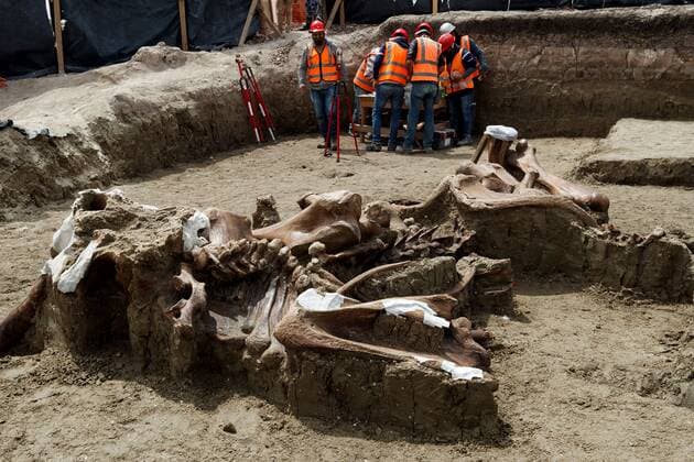 Specialists from the National Institute of Anthropology and History (INAH) work at the site where a significant number of Mamut remains were found, in the area where the Felipe Angeles Airport is being built, in the municipality of Zumpango, in the State of Mexico, Mexico, 27 August 2020 (issued 29 august 2020). The almost 200 discovery points where dozens of mammoth, camel, horse and bison skeletons have been found in the future airport of Mexico City, account for the most important paleontological discovery in Latin America by concentration of individuals. New Mexican airport exhibits most important paleontological find in Latin America !ACHTUNG: NUR REDAKTIONELLE NUTZUNG!  Copyright: xJosexMendezx AME1323 20200829-637343187048499945