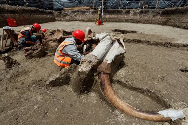 Specialists from the National Institute of Anthropology and History (INAH) work at the site where a significant number of Mamut remains were found, in the area where the Felipe Angeles Airport is being built, in the municipality of Zumpango, in the State of Mexico, Mexico, 27 August 2020 (issued 29 august 2020). The almost 200 discovery points where dozens of mammoth, camel, horse and bison skeletons have been found in the future airport of Mexico City, account for the most important paleontological discovery in Latin America by concentration of individuals. New Mexican airport exhibits most important paleontological find in Latin America !ACHTUNG: NUR REDAKTIONELLE NUTZUNG!  Copyright: xJosexMendezx AME1325 20200829-637343187060687350