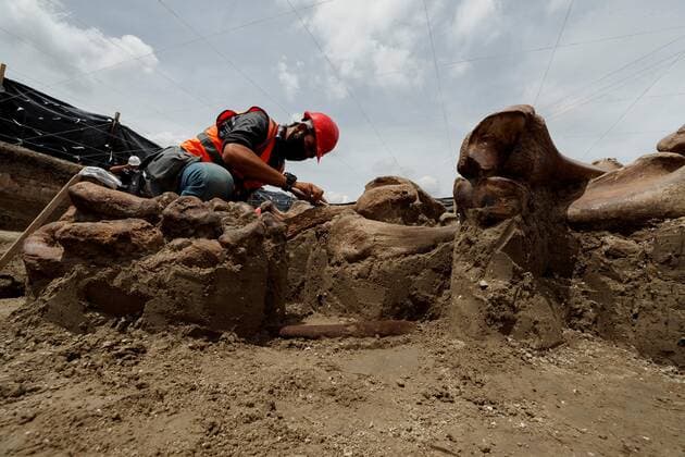 Specialists from the National Institute of Anthropology and History (INAH) work at the site where a significant number of Mamut remains were found, in the area where the Felipe Angeles Airport is being built, in the municipality of Zumpango, in the State of Mexico, Mexico, 27 August 2020 (issued 29 august 2020). The almost 200 discovery points where dozens of mammoth, camel, horse and bison skeletons have been found in the future airport of Mexico City, account for the most important paleontological discovery in Latin America by concentration of individuals. New Mexican airport exhibits most important paleontological find in Latin America !ACHTUNG: NUR REDAKTIONELLE NUTZUNG!  Copyright: xJosexMendezx AME1326 20200829-637343187074934769