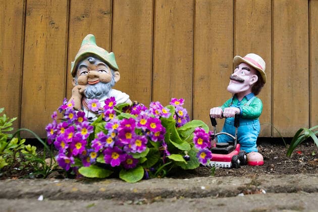 Gartenkultur mit einem Gartenzwerg in einem Kleingarten in Egeln (Sachsen Anhalt) *** Garden culture with a garden gnome in an allotment garden in Egeln Saxony Anhalt