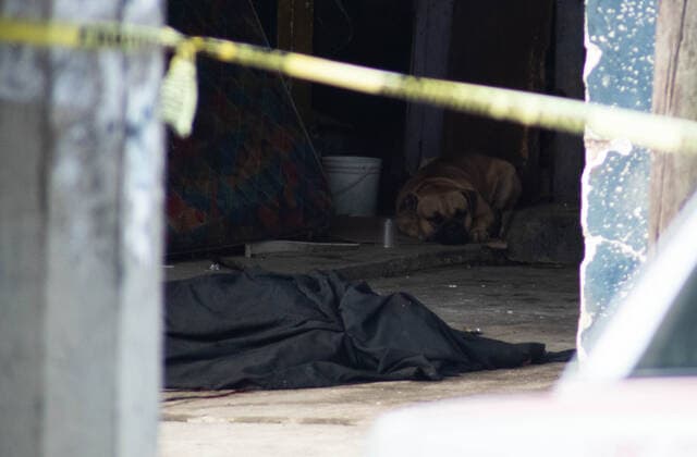 September 15, 2020, Coatepec, Veracruz, Mo xico: A man is shot to death outside his house in Coatepec. Coatepec MÃ xico - ZUMAqp1_ 20200915_zip_qp1_014 Copyright: xHectorxAdolfoxQuintanarxPerezx