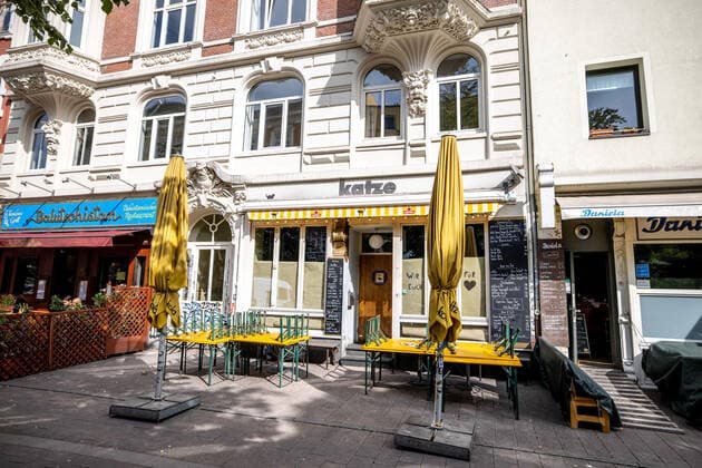 Hamburg, 17 September 2020 Bar Katze in Hamburgs Schanzenviertel