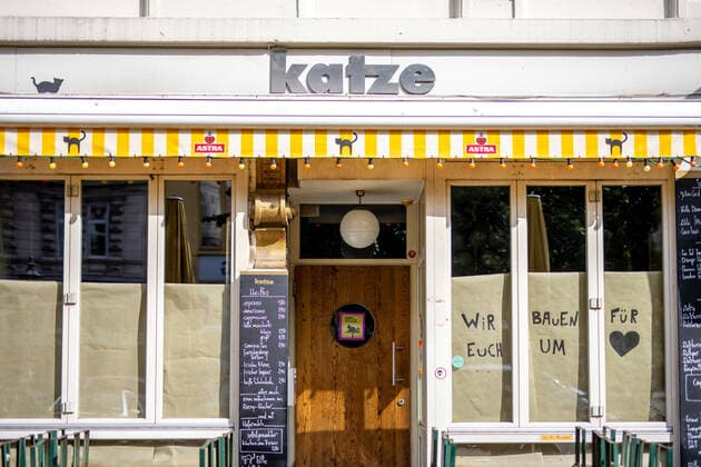 Hamburg, 17 September 2020 Bar Katze in Hamburgs Schanzenviertel