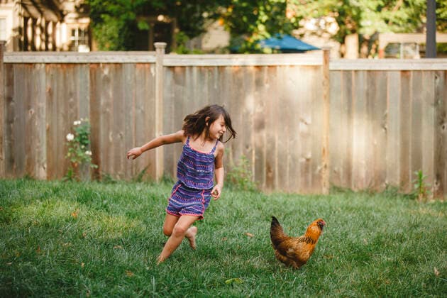 IMAGO Creative: Sommer, Sommertage im Garten A happy child plays barefoot with a chicken in her backyard garden Columbus, OH, United States CR_RETI200908-489697-01 ,model released, Symbolfoto