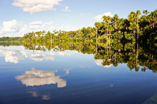 IMAGO Nature: Unsere Erde, Naturschutz, Naturschutzgebiete in Südamerika Lake at Tambopata National Park,Peru Reflection on lake at Tambopata National Park,Peru  Copyright: xgiannakisphotox 13840300