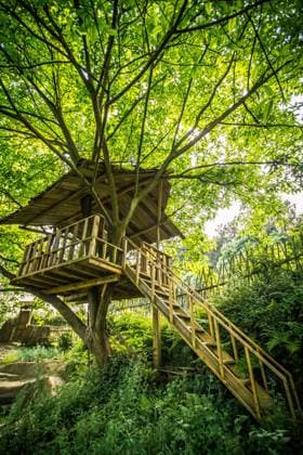 IMAGO Creative, Leben im Bamhaus A treehouse in the woods.  810172772167843899