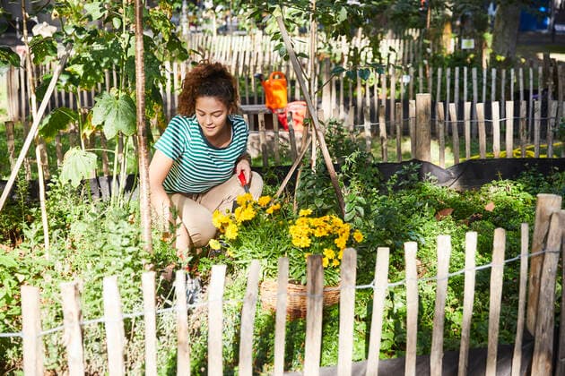 Young brunette woman planting flowers in garden model released Symbolfoto property released FMKF06319