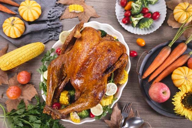 Thanksgiving heavy snow thanksgiving material thanksgiving turkey thanksgiving have you thanksgiving background thanksgiving turkey thanksgiving poster thanksgiving illustration  810214244370874516