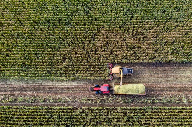Landwirtschaft, Mais Anbau Maisernte, Mähdrescher, Häcksler arbeitet sich durch ein Maisfeld, die Silage wird direkt in einen Hänger gepumpt, dient als Viehfutter, Niederrhein, Rees, NRW, Deutschland Maisernte *** Maize harvest, combine harvester, chopper works its way through a maize field, the silage is pumped directly into a trailer, serves as cattle feed, Lower Rhine, Rees, NRW, Germany Maize harvest