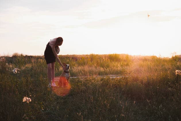 IMAGO Creative: Sommer, Abendspaziergang Young woman stands in the field with dog, faded colors during su CR_AXHBBX201001-515410-01 ,model released, Symbolfoto