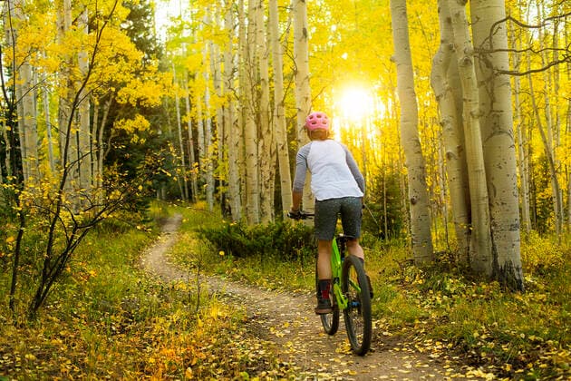 Rear view of woman mountain biking in forest during sunset Aspen, CO, United States CR_BRHU200930-502075-01 ,model released, Symbolfoto