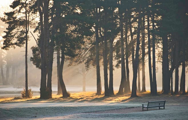 park bench on a frosty morning in Woking Surrey Woking, England, United Kingdom CR_THHE201001C-516516-01