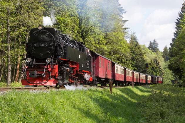 Harzer Schmalspurbahn Ein Zug der Harzer Schmalspurbahn mit Dampflokomotive auf dem Weg von Wernigerode zum Brocken, am 30.05.2015. Werrnigerode Sachsen-Anhalt Deutschland *** Harzer Schmalspurbahn A train of the Harzer Schmalspurbahn with steam locomotive on the way from Wernigerode to the Brocken, on 30 05 2015 Werrnigerode Saxony Anhalt Germany