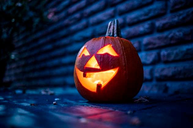 Halloween Panorama: Kinder, Halloween: Teelicht leuchtet in einem ausgehöhlten Kürbis. Die Fratze erinnert an Jugendstreiche zu Halloween. Seine Ursprünge hat das Fest, so wie es heute auch bei uns gefeiert wird, in der christlichen und keltischen Tradition. Kinder lieben Halloween vor allem, weil sie sich dann verkleiden dürfen und Süßigkeiten abstauben. Gefeiert wird Halloween am 31. Oktober, den Tag vor Allerheiligen. Das Wort leitet sich aus der englischen Bezeichnung All Hallows˜ Eve, dem Abend vor Allerheiligen, ab. Rietberg Nordrhein-Westfalen Deutschland *** Halloween Panorama Children, Halloween tealight glows in a hollowed-out pumpkin The grimace reminds of youthful pranks on Halloween Its origins have the festival Copyright: xDavidxInderlied Kirchner-Mediax
