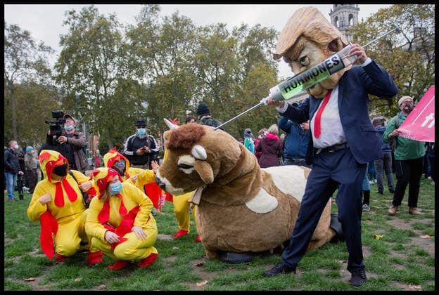 Bilder des Jahres 2020, News 10 Oktober News Themen der Woche KW43 News Bilder des Tages . 24 10 2020. London, United Kingdom. Anti US Trade Deal Protest. Protesters dressed as a cow, chickens, pigs and US President Donald Trump demonstrate against a trade deal with the United States.  xMartynxWheatleyx xi-Imagesx IIM-21732-0001