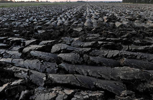 Germany, heavy wet black soil GERMANY, Schleswig-Holstein farming, extreme wet soil after heavy rains *** DEUTSCHLAND, Landwirtschaft, Elbmarschen, gepfluegtes Feld, schwerer nasser Boden nach Starkregen Schleswig-Holstein Germany