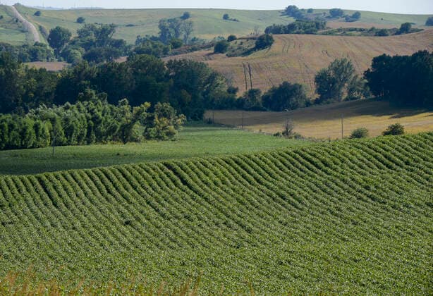 IMAGO Nature: Unsere Erde, Klimawandel, Ernährung, Pflanzen der Zukunft, Soja USA, Nebraska, soybean farming USA, Nebraska, Omaha Reservation, soybean farming *** USA, Nebraska, Omaha Indianer Reservat, Anbau von GMO Soja, Feld mit genmanipulierten Soajabohnen Macy Nebraska United States of America