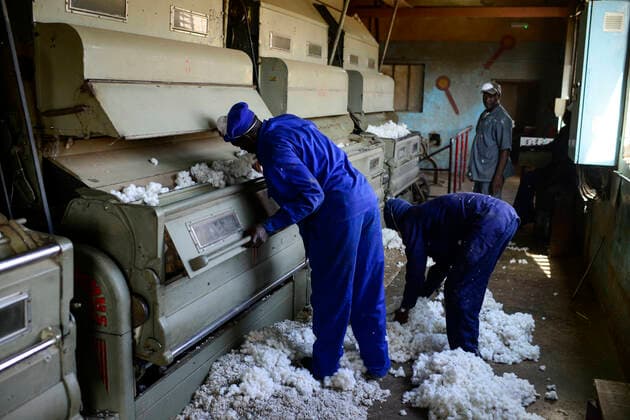 IMAGO Nature: Unsere Erde, Klimawandel, Baumwolle Burkina Faso, Bobo Dioulasso, Sofitex cotton company BURKINA FASO , Bobo Dioulasso, SociÃ tÃ Burkinabe des Fibres Textiles SOFITEX cotton ginning company unit Bobo I, processing of conventional and gene manipulated Monsanto BT cotton, ginning machine *** SOFITEX, Fabrik fuer Baumwollentkernung Werk Bobo I, Verarbeitung von konventioneller und genmanipulierter Monsanto Baumwolle, Entkernungsmaschinen Bobo Dioulasso Hauts-Bassins Burkina Faso