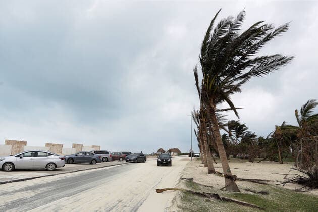 General view of Palms that fell due to the strong gusts of wind of 130 kilometers per hour, which brought Hurricane Zeta, in category 1 of the Saffir-Simpson scale; It is the third environmental phenomenon of its kind that has been recorded in a month. State authorities have launched a prevention operation where more than 70 shelters have been set up for affected people on October 27, 2020 in Cancun, Mexico Where: Cancun, Mexico When: 27 Oct 2020 Credit: Eyepix Cover Images Copyright: xRodolfoxFloresx 40976045 EDITORIAL USE ONLY. NOT FOR USE BY NEWSPAPERS BASED IN THE UK.