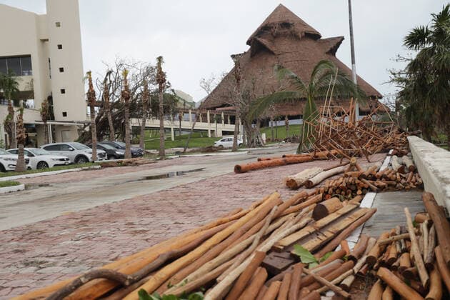 General view of Palms that fell due to the strong gusts of wind of 130 kilometers per hour, which brought Hurricane Zeta, in category 1 of the Saffir-Simpson scale; It is the third environmental phenomenon of its kind that has been recorded in a month. State authorities have launched a prevention operation where more than 70 shelters have been set up for affected people on October 27, 2020 in Cancun, Mexico Where: Cancun, Mexico When: 27 Oct 2020 Credit: Eyepix Cover Images Copyright: xRodolfoxFloresx 40976048 EDITORIAL USE ONLY. NOT FOR USE BY NEWSPAPERS BASED IN THE UK.